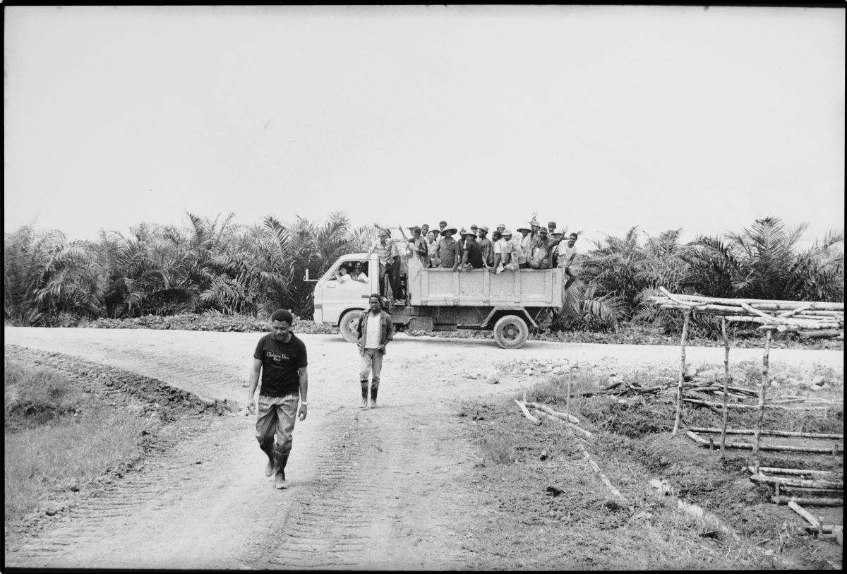 workers plantation in truck                 